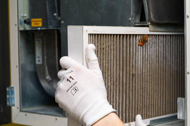 Best Professional Duct Cleaning Services  in Narrows, VA